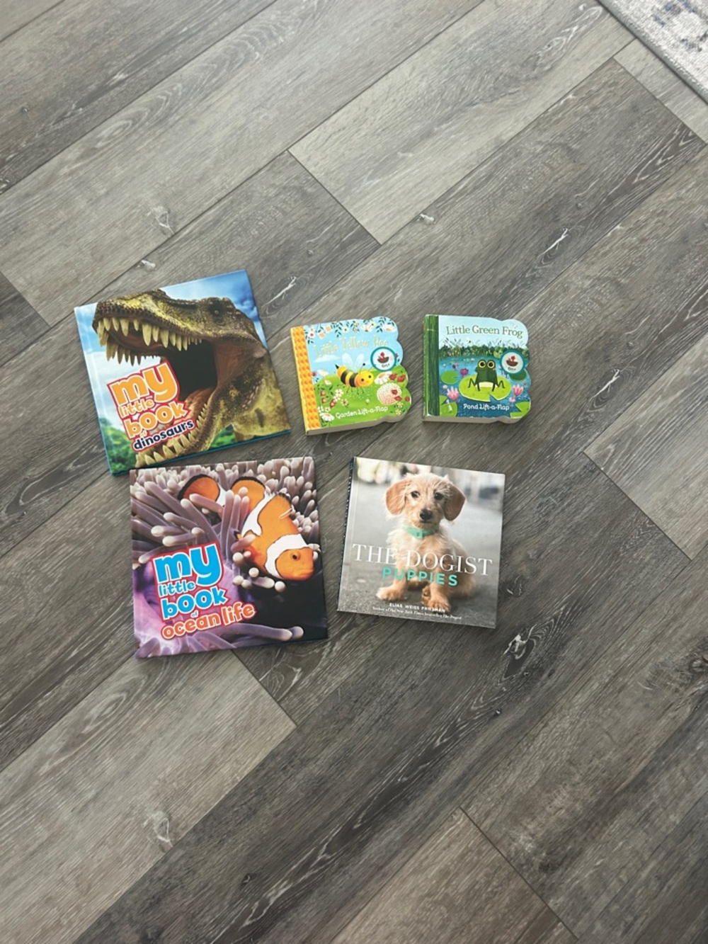 Set of 5 Children's Board Books - Colorful Animal Covers